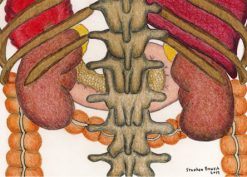 Urologic Diseases Germane to the Medical Renal Biopsy publication figure