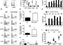 SLP-76 is important for Ly49 receptor expression and activation downstream of multiple NK cell activating receptors