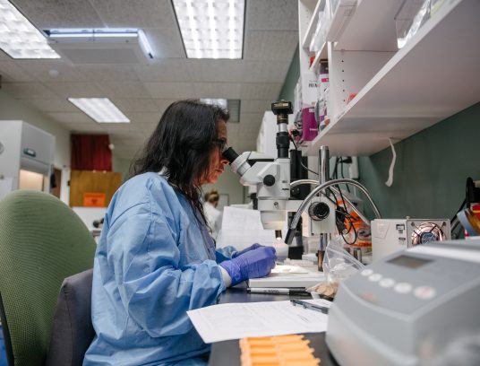 laboratory technician grossing biopsy in neuro lab