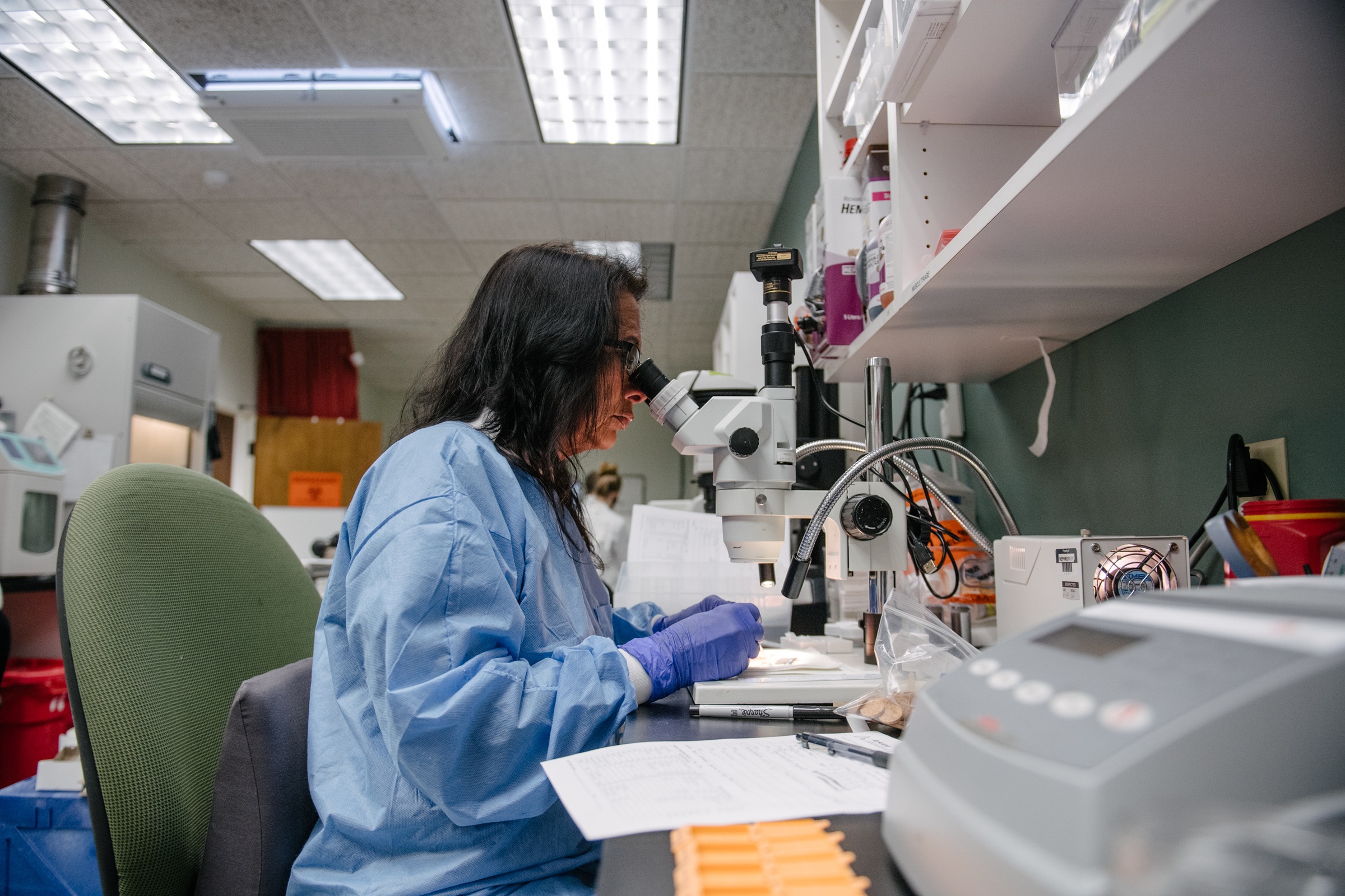 laboratory technician grossing biopsy in neuro lab