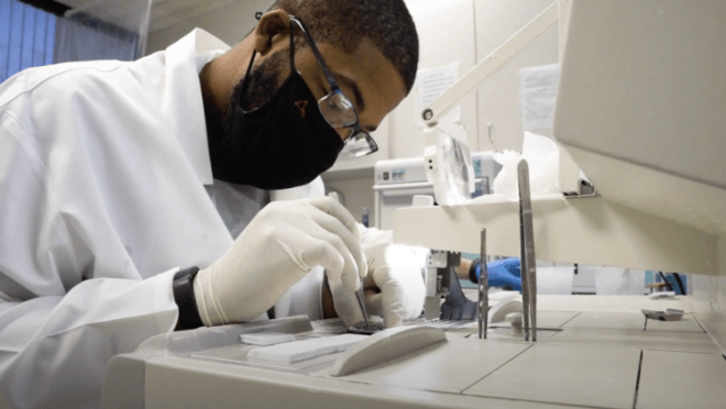 lab technician cutting renal biopsies at light station