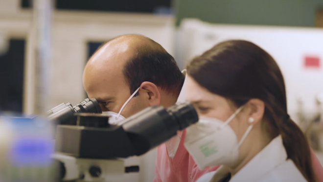 lab technician and physician looking through joint scope at renal biopsy