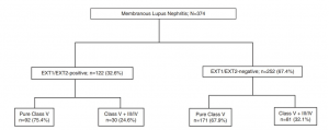 lupus nephritis disease week, arkana laboratories, renal diseases, LN