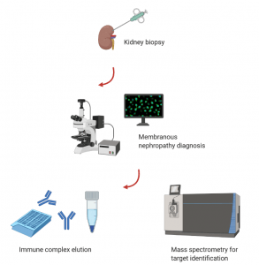 lupus nephritis disease week, arkana laboratories, renal diseases, LN