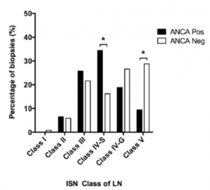 kidney pathology, lupus nephritis, lupus disease week, arkana laboratories