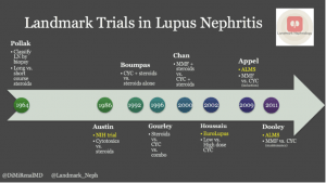 kidney pathology, lupus nephritis, lupus disease week, arkana laboratories