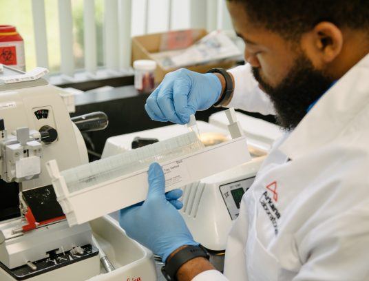 lab team member organizing slides to cut - Contact Arkana Labs