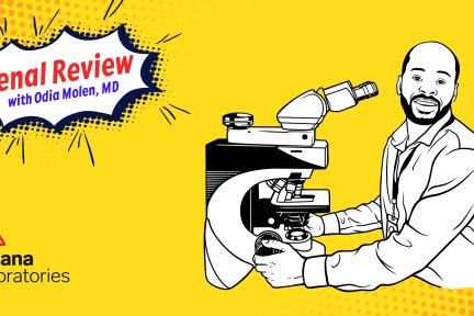 Renal Review