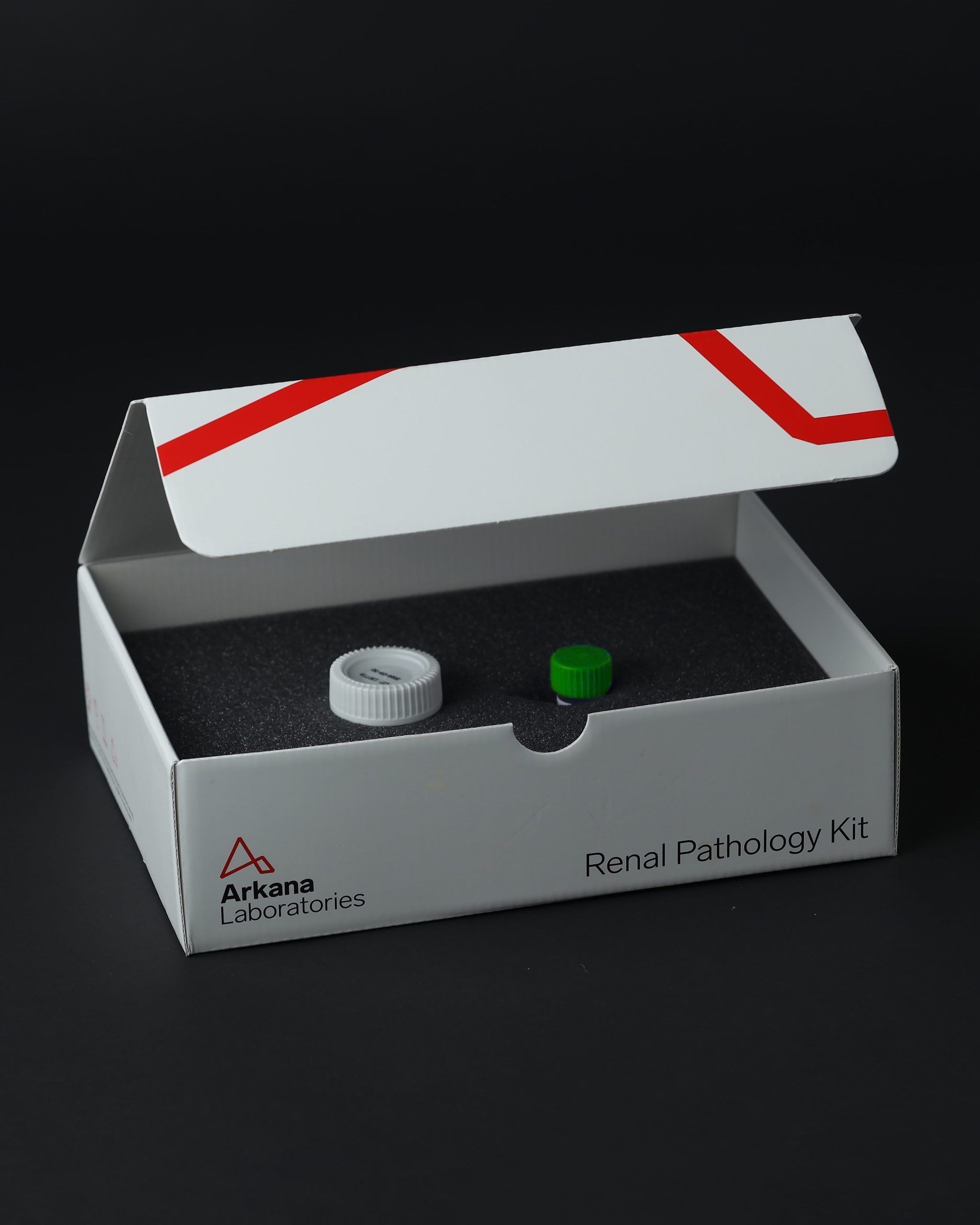 Renal biopsy kits for renal pathology testing