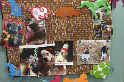 Arkanines Pet Photos board, Arkana Laboratories