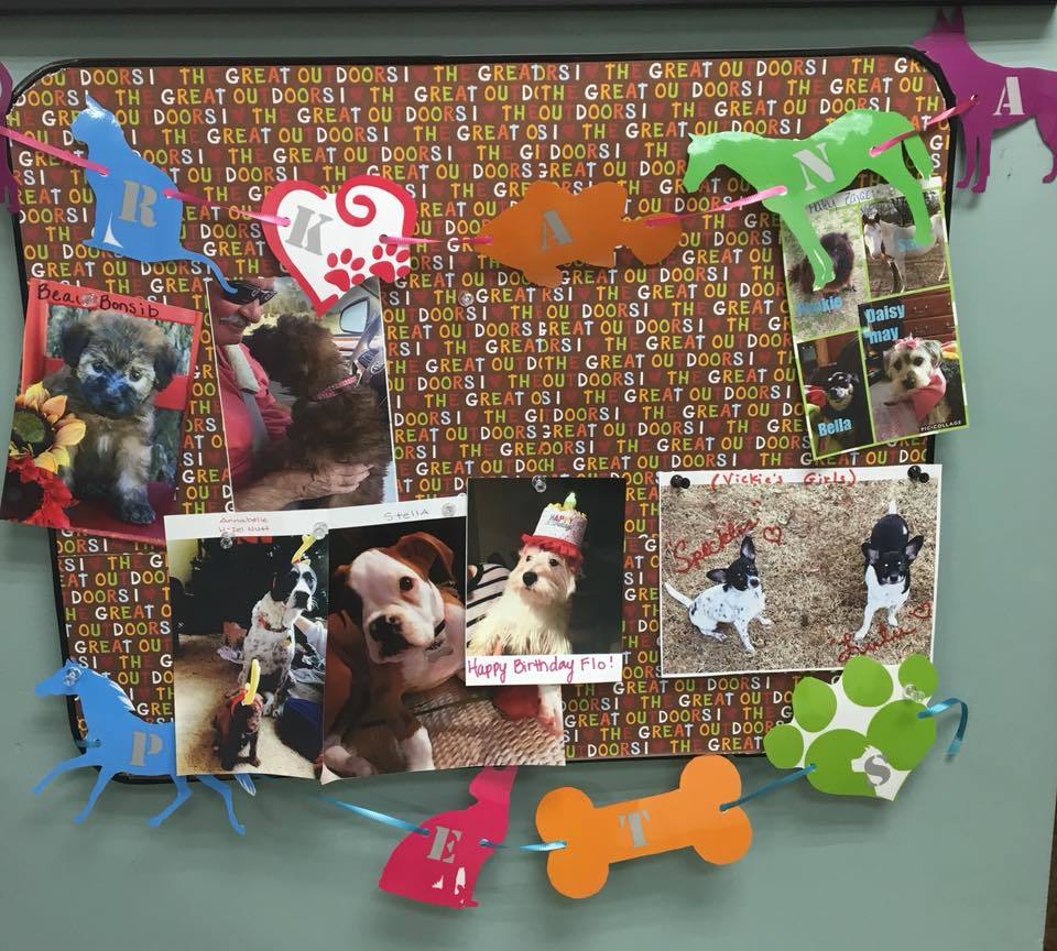 Arkanines Pet Photos board, Arkana Laboratories