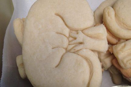 kidney cookies, cookies, Arkana Laboratories, Arkana Visualized