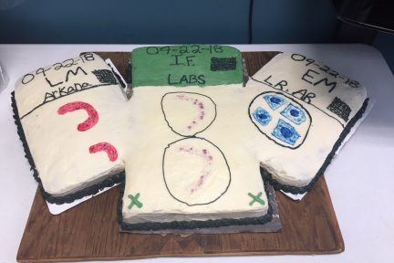 Lab Week cakes made by Amber