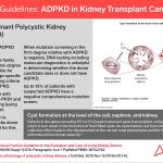 KDIGO Connections: ADPKD in Kidney Transplant Candidates