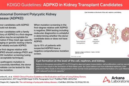 ADPKD, ADPKD in Kidney Transplant Candidates, KDIGO, Arkana Laboratories, Dr. David Bourne, kidney diseases