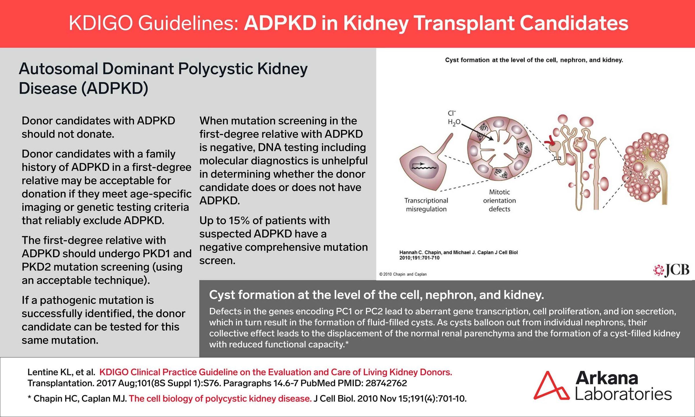 ADPKD, ADPKD in Kidney Transplant Candidates, KDIGO, Arkana Laboratories, Dr. David Bourne, kidney diseases