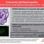 KDIGO Connections: Crescentic IgA Nephropathy