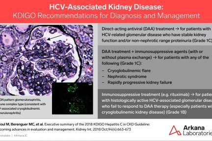 HCV- Associated Kidney Disease, KDIGO Connections, kidney disease, renal pathology