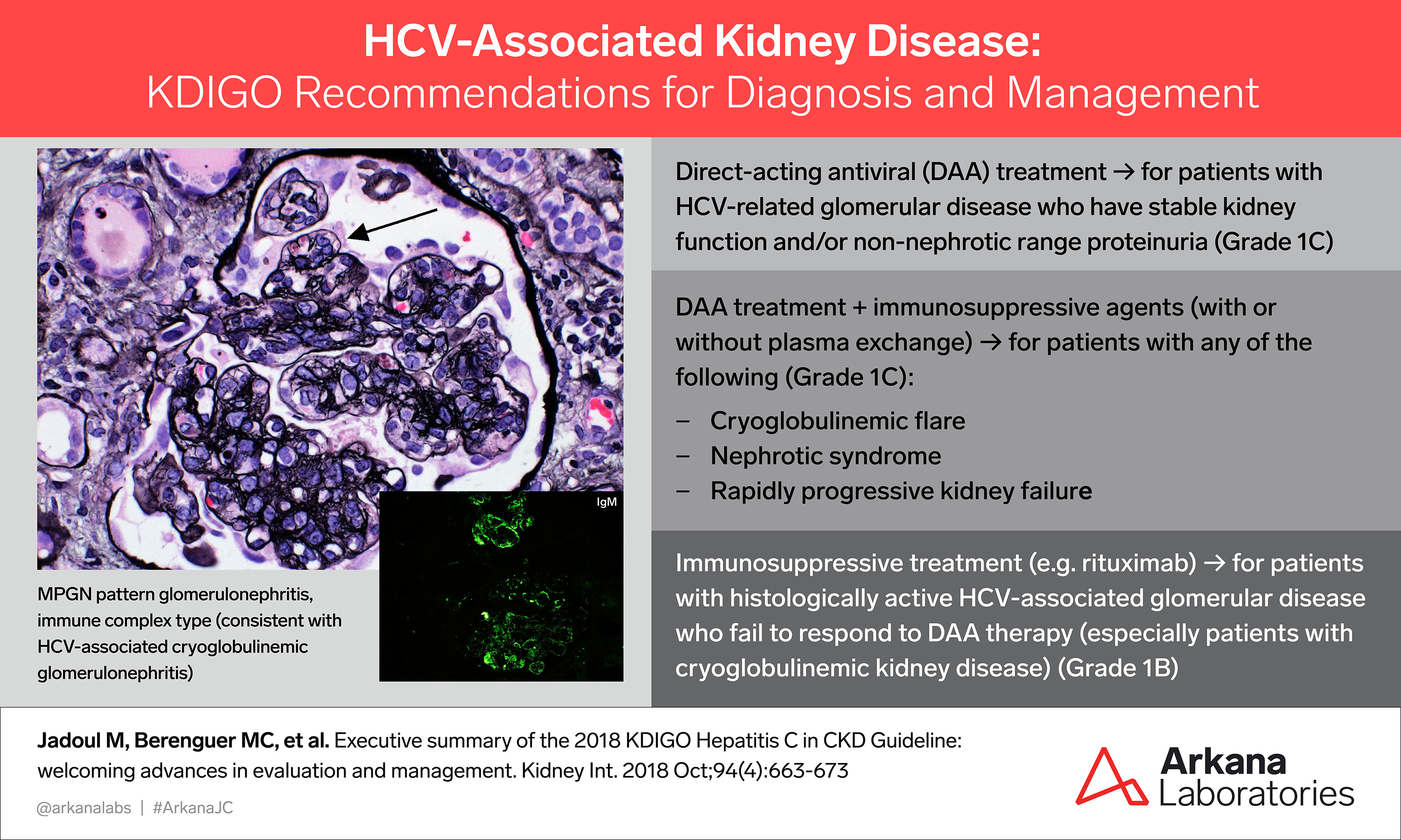 HCV- Associated Kidney Disease, KDIGO Connections, kidney disease, renal pathology