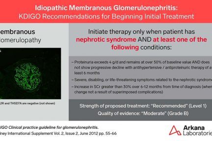 KDIGO, Membranous Glomerulopathy, KDIGO Connections, renal pathology