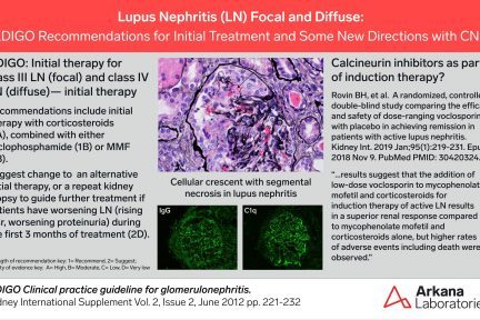 lupus nephritis, kdigo connections, arkana laboratories, renal pathology