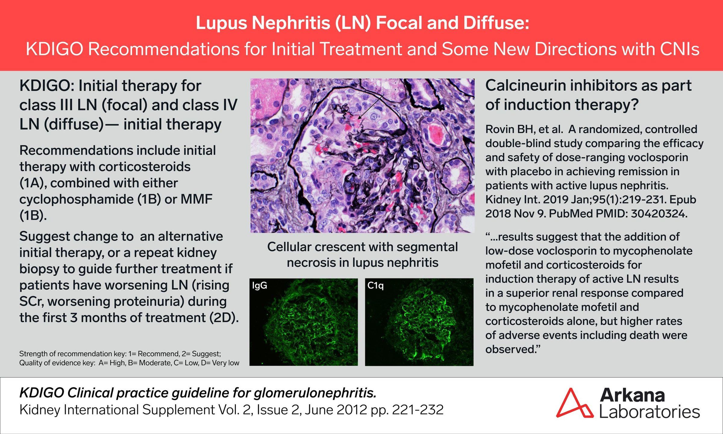 lupus nephritis, kdigo connections, arkana laboratories, renal pathology, SLE, Lupus treatment