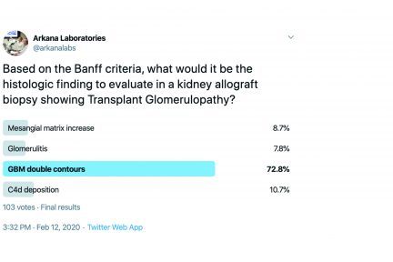 Transplant glomerulopathy, twitter poll,