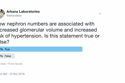 Number of Nephrons in kindey biopsy