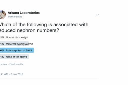 PAX2 and RET, renal pathology, Reduced Nephron