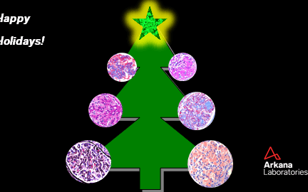 renal christmas tree, renal pathology, christmas, Arkana Laboratories, Arkana Visualized