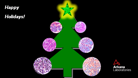 renal christmas tree, renal pathology, christmas, Arkana Laboratories, Arkana Visualized