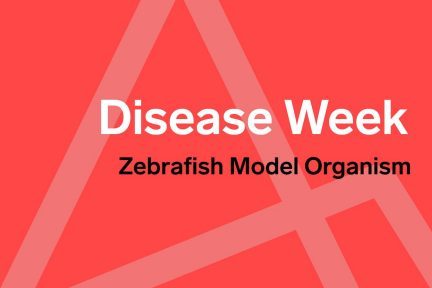 Zebrafish Model Organism, Disease Week, Arkana, Arkana Laboratories
