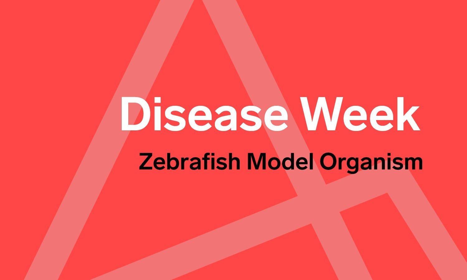 Zebrafish Model Organism, Disease Week, Arkana, Arkana Laboratories