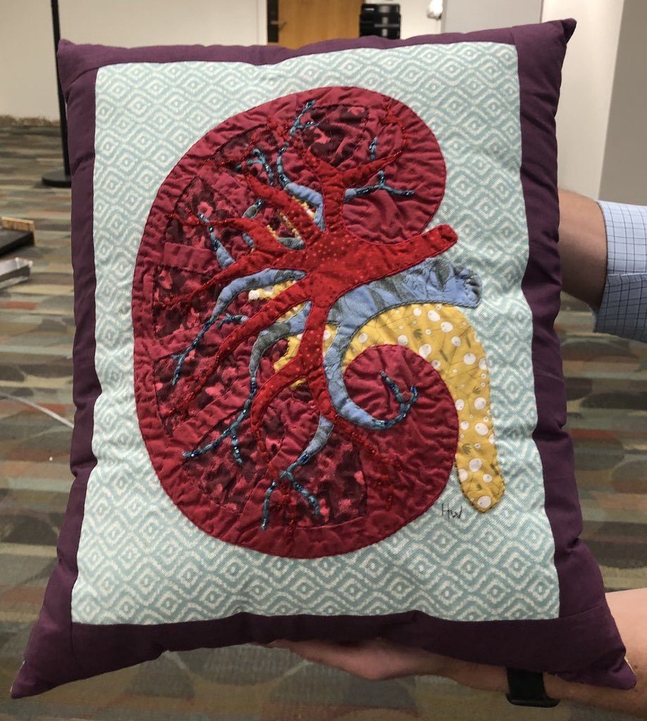Kidney Pillow, Arkana Visualized, Arkana Visualized