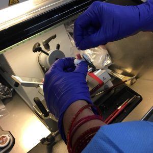 muscle biopsy being cut on cryostat machine