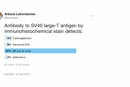 polyomavirus nephritis